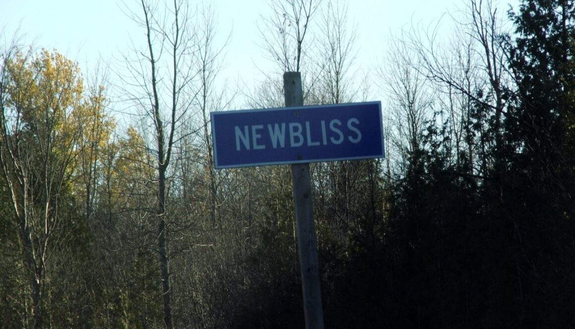 newbilss-2