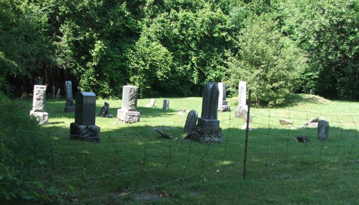 Bell's Cemetery -11654 Rocksprings Rd July 2016 (2)